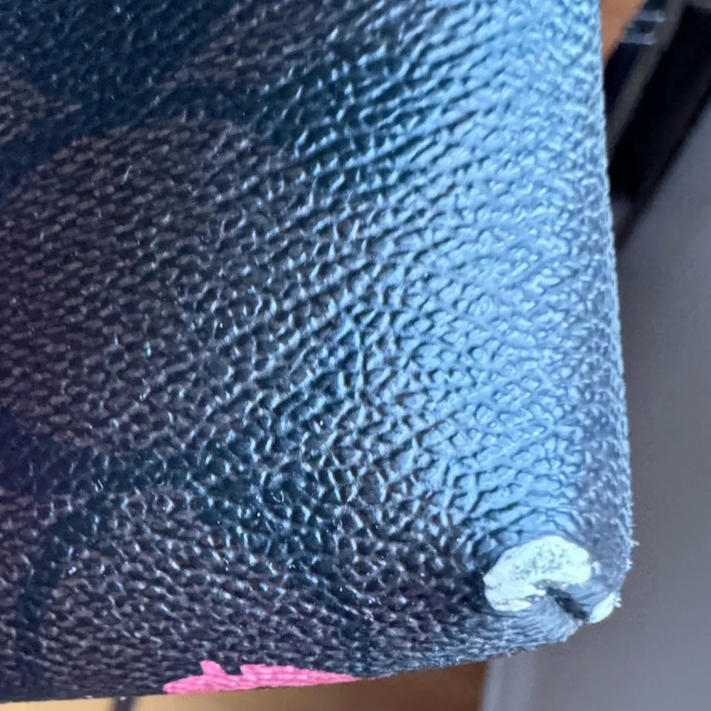 Coach East West Primerose Floral Crossbody Bag - Picture 6 of 12